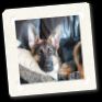 CC DSC00221.jpg